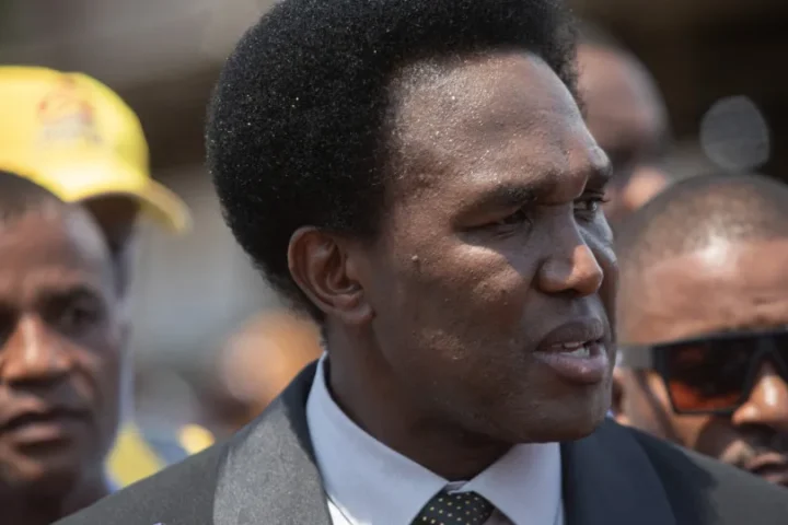 Mondlane rejeita que manifestações em Moçambique sejam "criminosas"